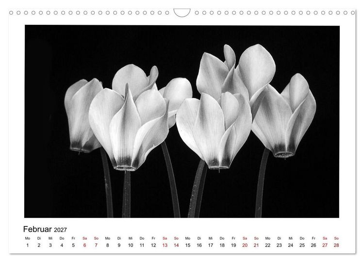 Produktbild: Die grafische Sch&ouml;nheit der Pflanzen &ndash; Schwarz-Wei&szlig; (Wandkalender 2027 DIN A3 quer), CALVENDO Monatskalender