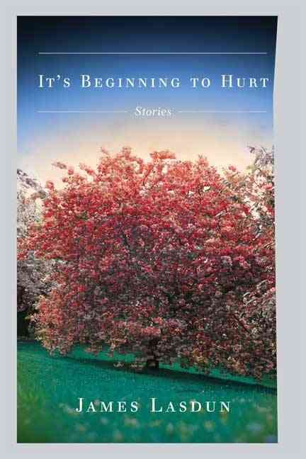 Produktbild: It's Beginning to Hurt: Stories