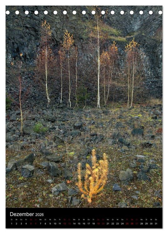 Produktbild: NATUREART - KUNST IN DER NATUR (Tischkalender 2026 DIN A5 hoch), CALVENDO Monatskalender
