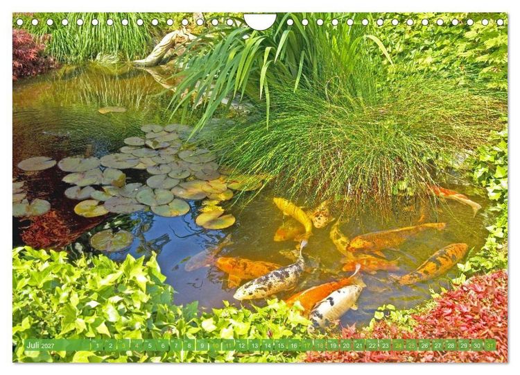 Produktbild: Koi: Juwelen im Teich (Wandkalender 2027 DIN A4 quer), CALVENDO Monatskalender