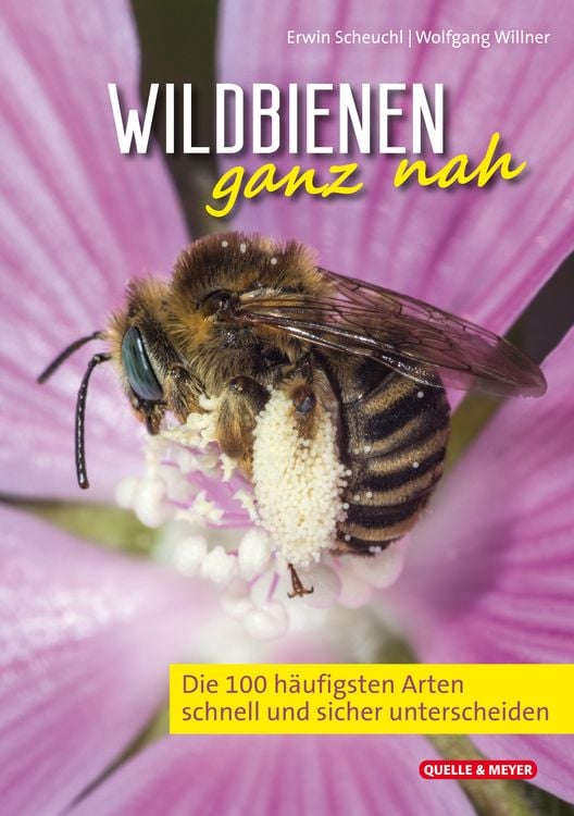 Produktbild: Wildbienen ganz nah