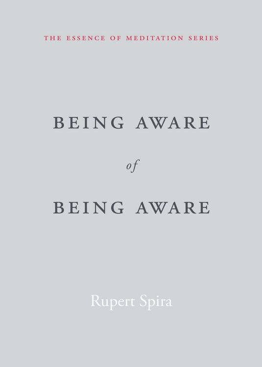 Produktbild: Being Aware of Being Aware