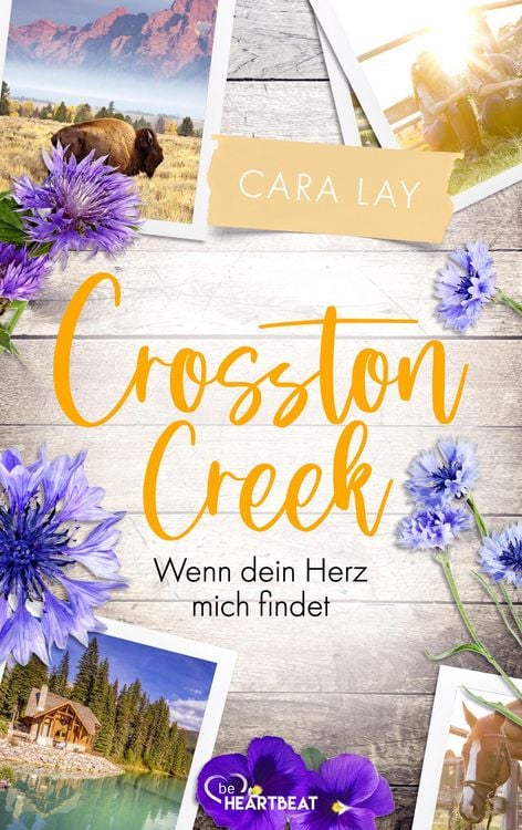 Produktbild: Crosston Creek - Wenn dein Herz mich findet