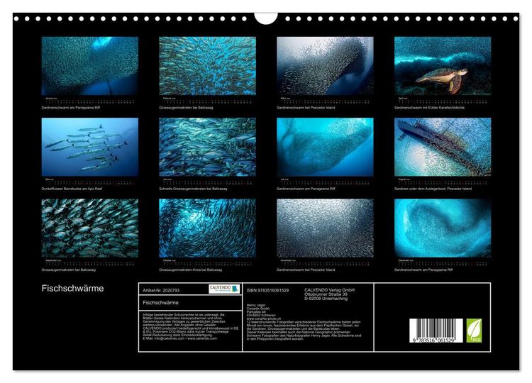 Produktbild: Fischschw&auml;rme (Wandkalender 2026 DIN A3 quer), CALVENDO Monatskalender
