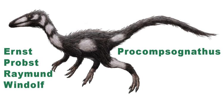 Produktbild: Procompsognathus