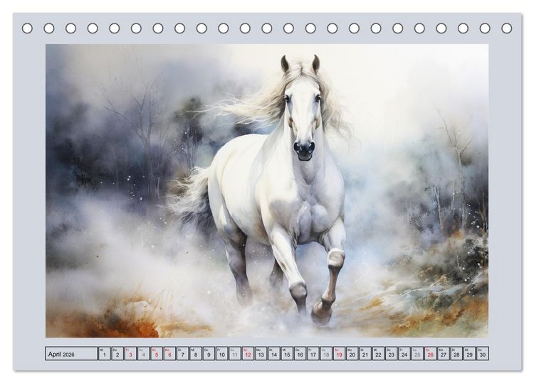 Produktbild: Anmutige Schimmel. &Auml;sthetik wei&szlig;er Aquarell-Pferde (Tischkalender 2026 DIN A5 quer), CALVENDO Monatskalender