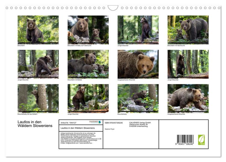 Produktbild: Lautlos in den W&auml;ldern Sloweniens (Wandkalender 2026 DIN A3 quer), CALVENDO Monatskalender