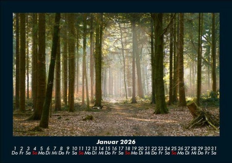 Produktbild: B&auml;ume 2026 Fotokalender DIN A5