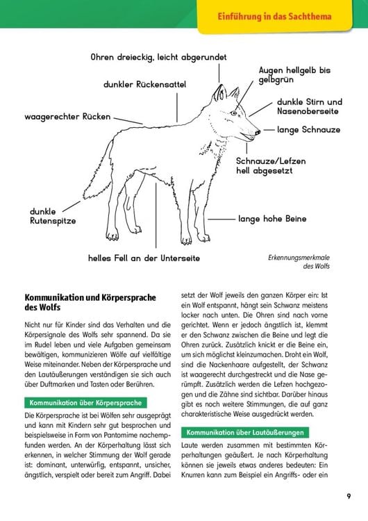 Produktbild: Arbeitsmaterial Grundschule. Sachunterricht: Der Wolf.