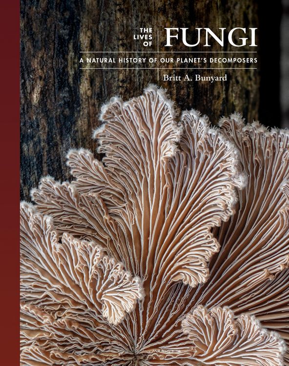 Produktbild: The Lives of Fungi