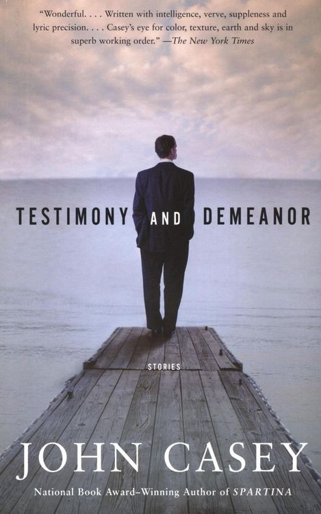 Produktbild: Testimony and Demeanor