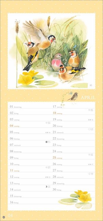 Produktbild: Marjolein Bastin: Wunder der Natur Kalender 2027