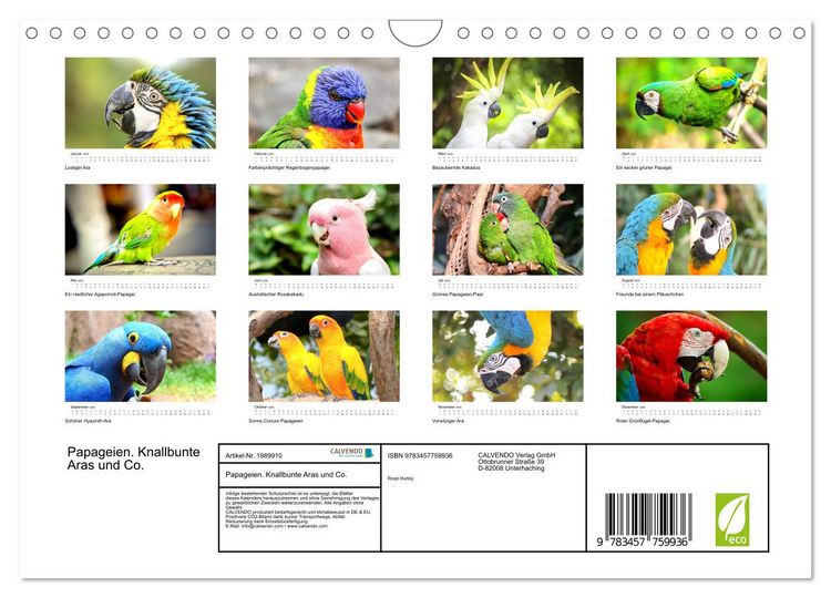 Produktbild: Papageien. Knallbunte Aras und Co. (Wandkalender 2026 DIN A4 quer), CALVENDO Monatskalender