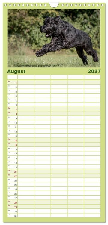 Produktbild: Familienplaner 2027 - Schnauzer... von Zwergen und Riesen 2027 mit 5 Spalten (Wandkalender, 21 x 45 cm) CALVENDO