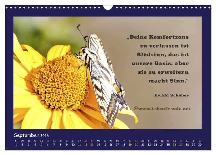 Produktbild: Bewusst leben und gl&uuml;cklich sein (Wandkalender 2026 DIN A3 quer), CALVENDO Monatskalender