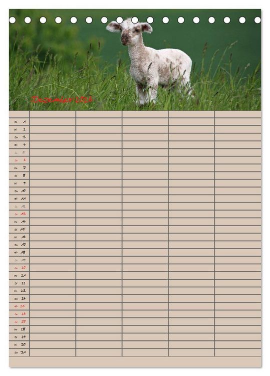 Produktbild: Der bel&auml;mmerte Familienplaner (Tischkalender 2026 DIN A5 hoch), CALVENDO Monatskalender