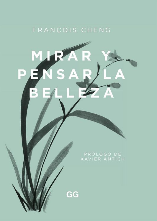 Produktbild: Mirar y pensar la belleza