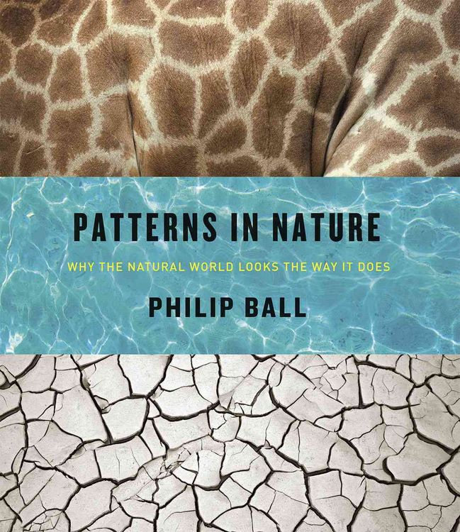 Produktbild: Patterns in Nature
