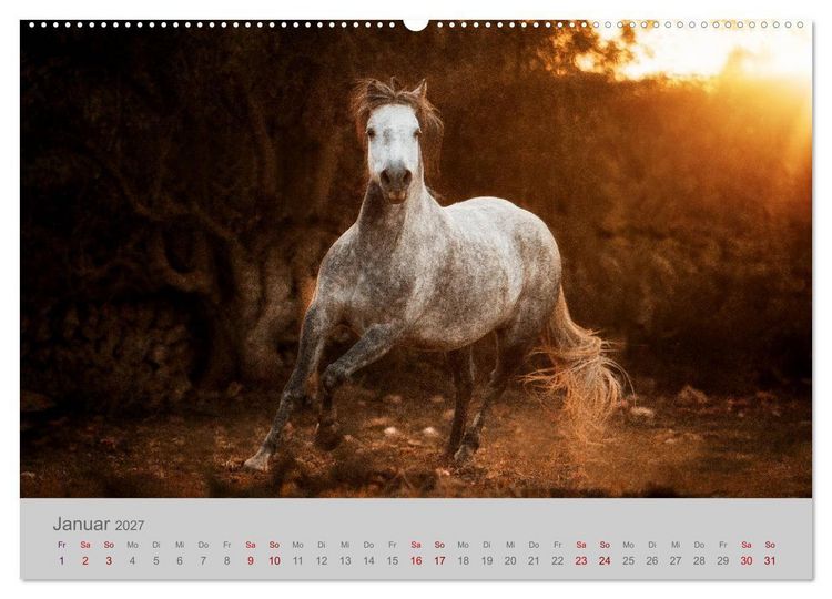 Produktbild: Pferde - Anmut, Eleganz, Magie (hochwertiger Premium Wandkalender 2027 DIN A2 quer), Kunstdruck in Hochglanz