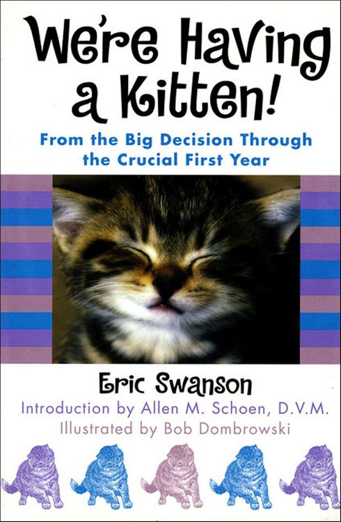 Produktbild: We're Having a Kitten!