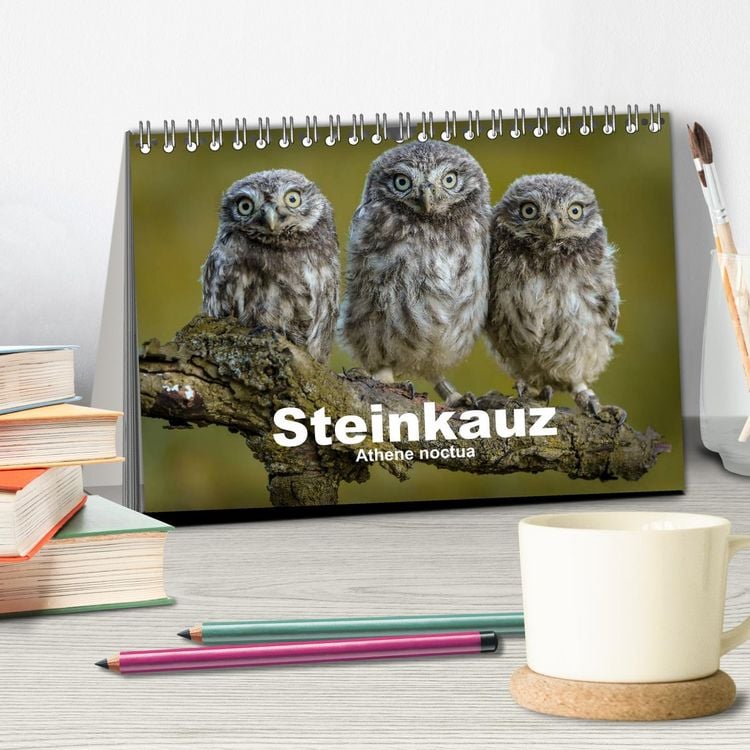 Produktbild: Steink&auml;uze (Athene noctua) (Tischkalender 2026 DIN A5 quer), CALVENDO Monatskalender