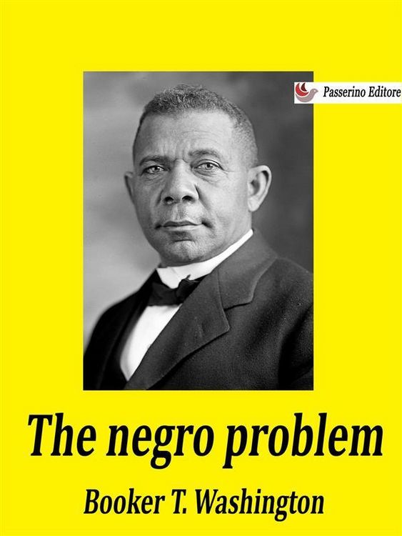 Produktbild: The negro problem
