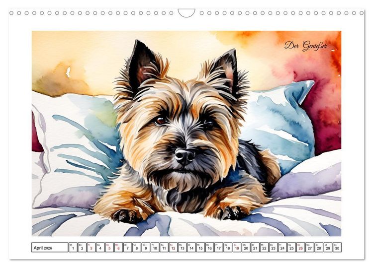Produktbild: Hundetr&auml;ume (Wandkalender 2026 DIN A3 quer), CALVENDO Monatskalender