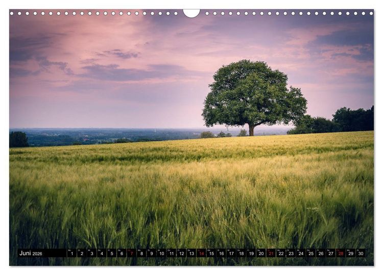 Produktbild: Das M&uuml;nsterland - Meine Impressionen (Wandkalender 2026 DIN A3 quer), CALVENDO Monatskalender