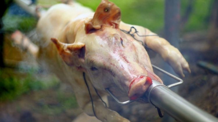 Produktbild: Im Namen der Tiere