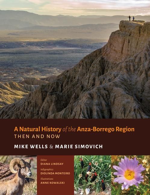Produktbild: A Natural History of the Anza-Borrego Region - Then and Now