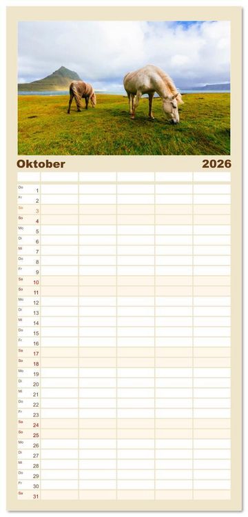 Produktbild: Familienplaner 2026 - Islandpferde - Die s&uuml;&szlig;en Pferde im Norden. mit 5 Spalten (Wandkalender, 21 x 45 cm) CALVENDO