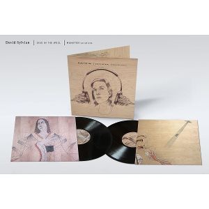 Produktbild: Died In The Wool (Manafon Variations 2LP)