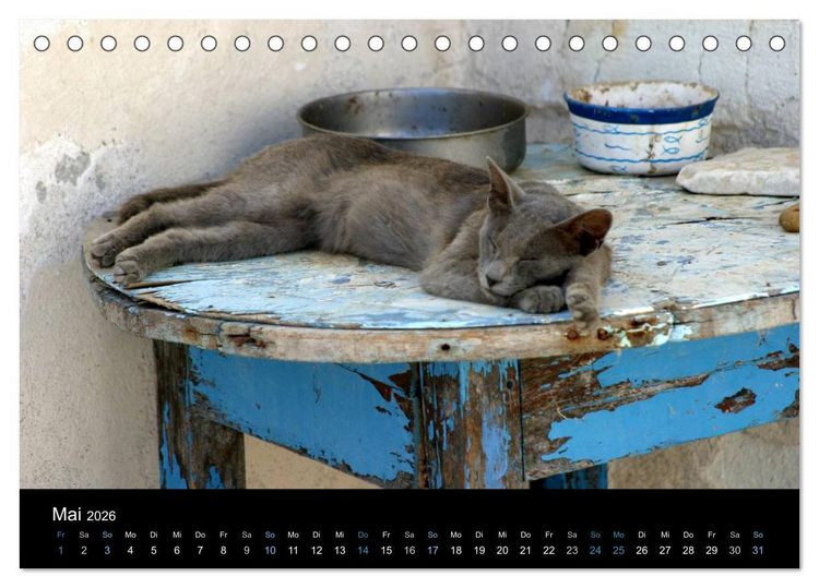 Produktbild: Katzensprung (Tischkalender 2026 DIN A5 quer), CALVENDO Monatskalender