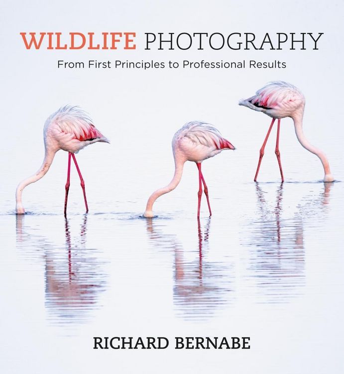 Produktbild: Wildlife Photography