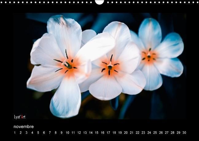 Produktbild: Liatard, A: Fleurs et couleurs (Calendrier mural Calendrier