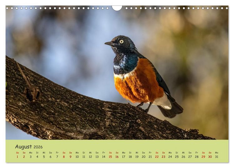 Produktbild: Gefiederte Sch&ouml;nheiten Ostafrikas (Wandkalender 2026 DIN A3 quer), CALVENDO Monatskalender