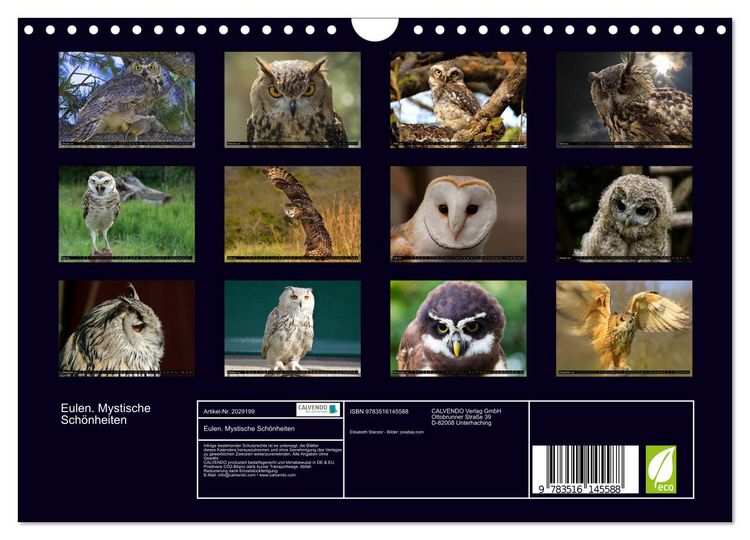 Produktbild: Eulen. Mystische Sch&ouml;nheiten (Wandkalender 2026 DIN A4 quer), CALVENDO Monatskalender