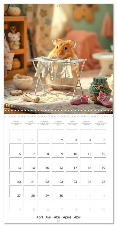 Produktbild: Hamster housekeeping - little paws and big Jobs (Wall Calendar 2026 12 &times; 12 Inch) CALVENDO 12 Month Wall Calendar