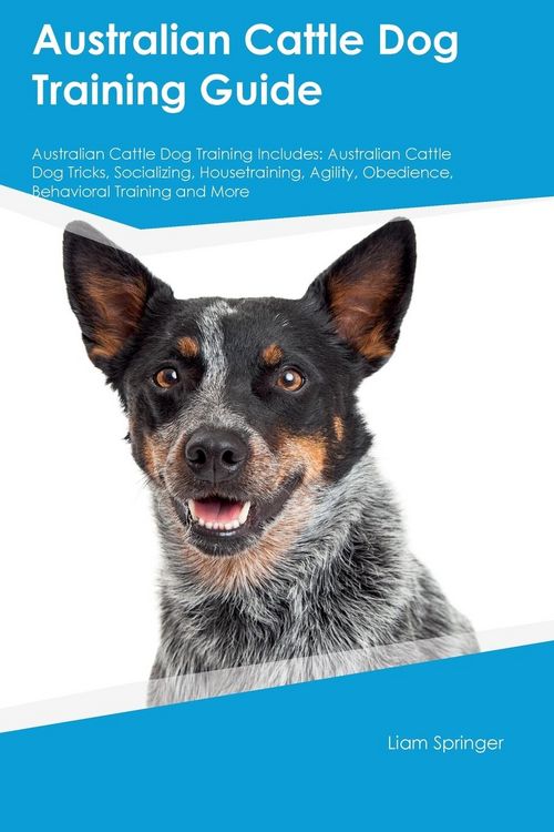 Produktbild: Australian Cattle Dog Training Guide Australian Cattle Dog Training Includes