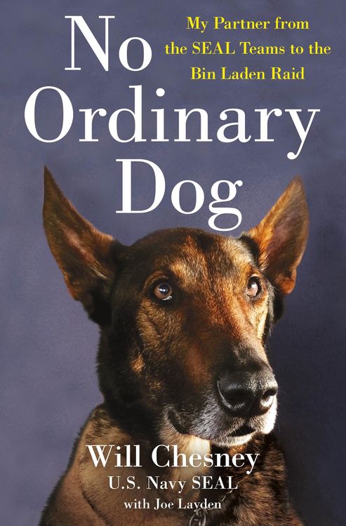 Produktbild: No Ordinary Dog