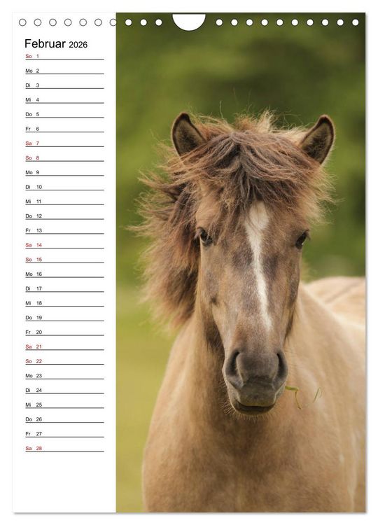 Produktbild: Isl&auml;nder im Portrait (Wandkalender 2026 DIN A4 hoch), CALVENDO Monatskalender