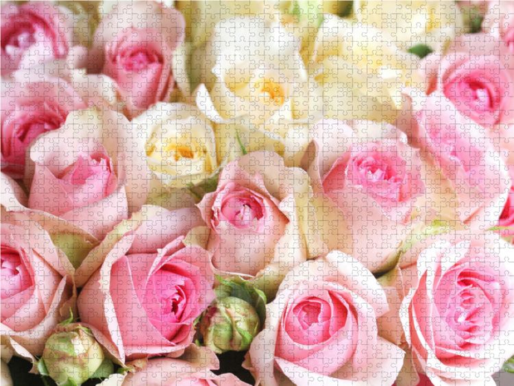 Produktbild: CALVENDO Puzzle Rosen in zarten Pastellt&ouml;nen - hellgelb und rosa | 2000 Teile Lege-Gr&ouml;&szlig;e 90x67cm Foto-Puzzle f&uuml;r gl&uuml;ckliche Stunden