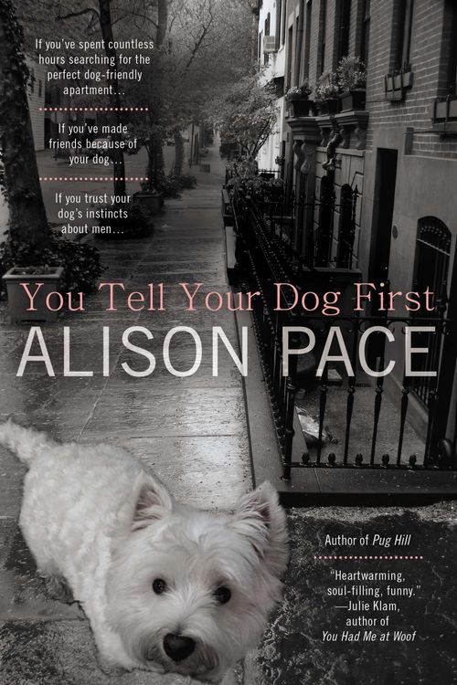 Produktbild: You Tell Your Dog First
