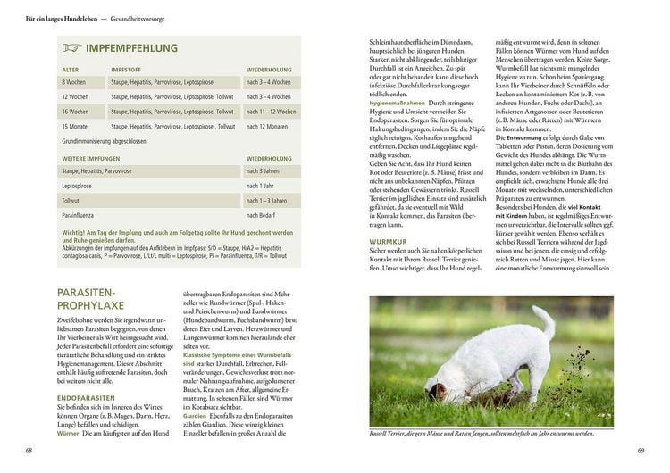 Produktbild: Parson und Jack Russell Terrier