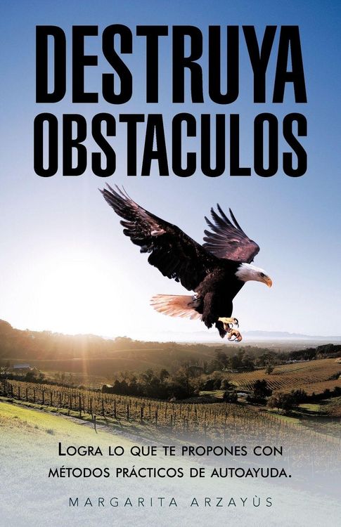 Produktbild: Destruya Obstaculos