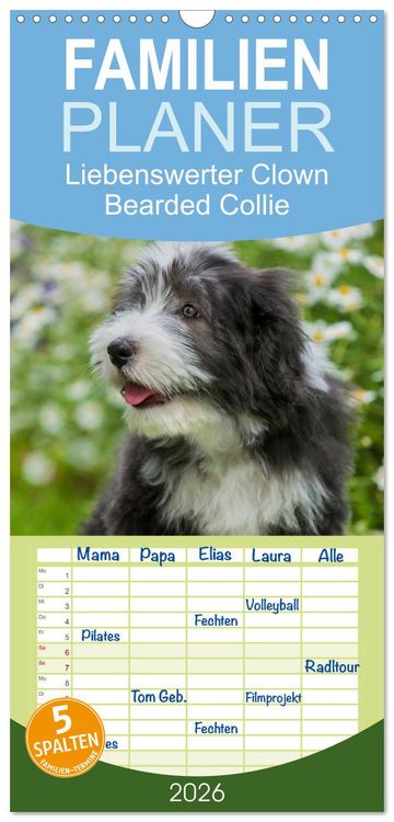 Produktbild: Familienplaner 2026 - Liebenswerter Clown Bearded Collie mit 5 Spalten (Wandkalender, 21 x 45 cm) CALVENDO