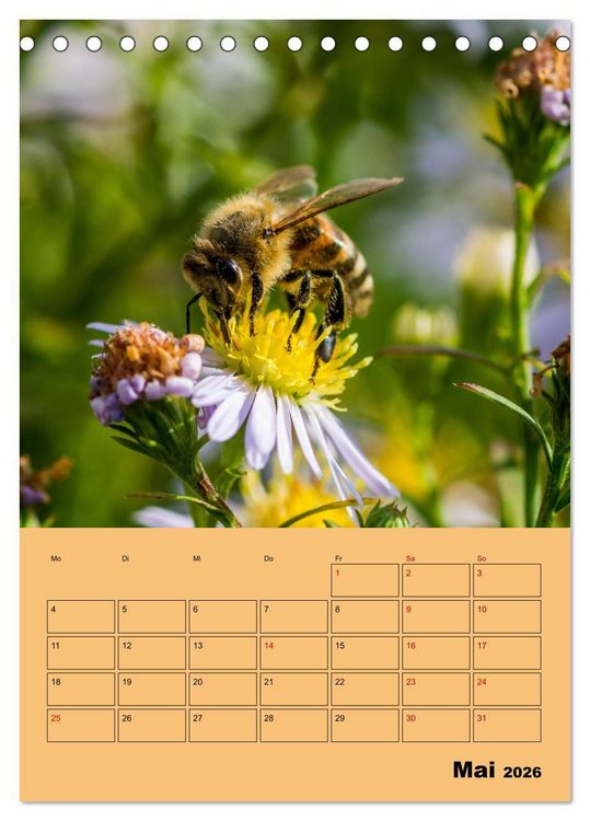 Produktbild: Die Biene und die Farbe gelb (Tischkalender 2026 DIN A5 hoch), CALVENDO Monatskalender