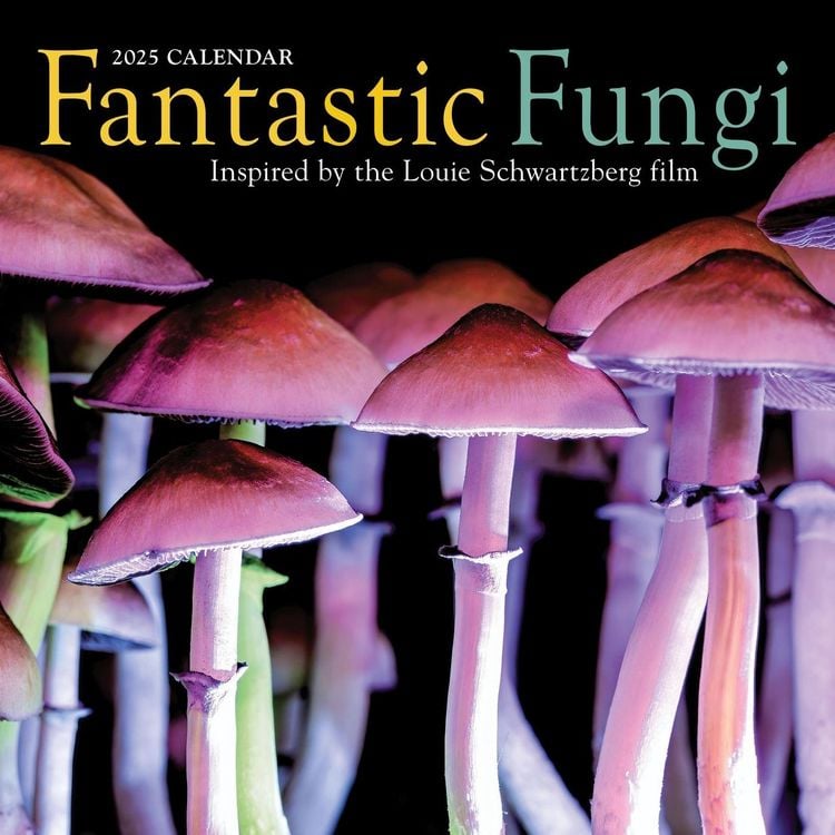 Produktbild: Fantastic Fungi Wall Calendar 2025
