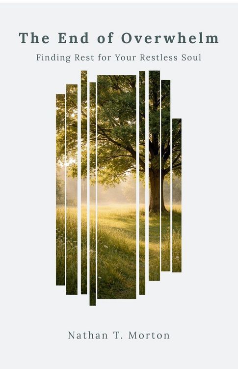 Produktbild: The End of Overwhelm
