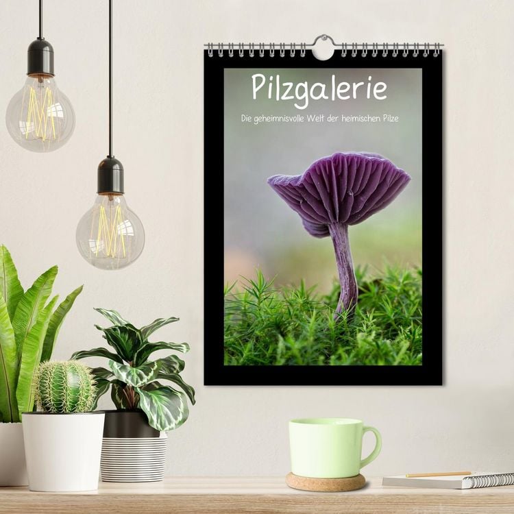Produktbild: Pilzgalerie - Die geheimnisvolle Welt der heimischen Pilze (Wandkalender 2026 DIN A4 hoch), CALVENDO Monatskalender
